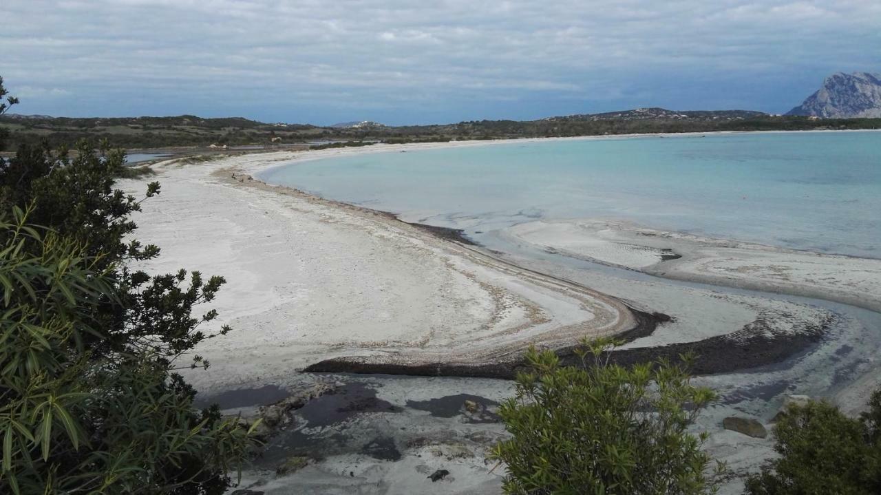 Appartamenti Sardegna Porto San Paolo  Eksteriør bilde