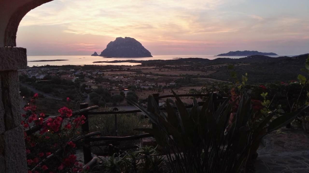 Appartamenti Sardegna Porto San Paolo  Eksteriør bilde